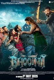 The Bhootnii (2025) The Bhootnii (2025)